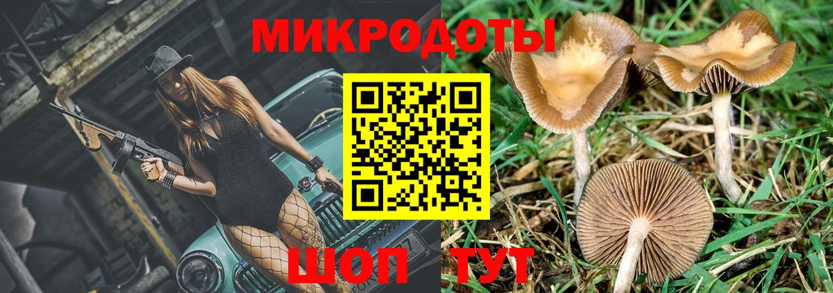 Галлюциногенные грибы Cubensis Осинники