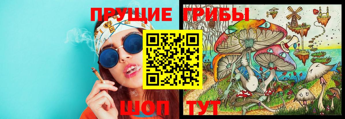 что такое   Псилоцибиновые грибы мухоморы  Вход с VPN  Осинники 